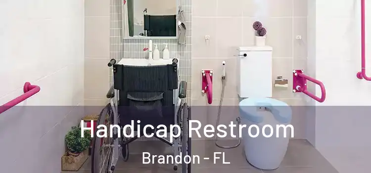  Handicap Restroom Brandon - FL