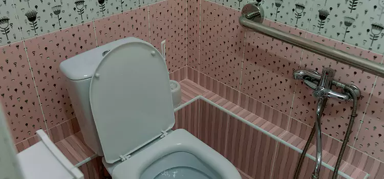 Meeting Diverse Needs With Accessible Restroom Solutions in Brandon, FL