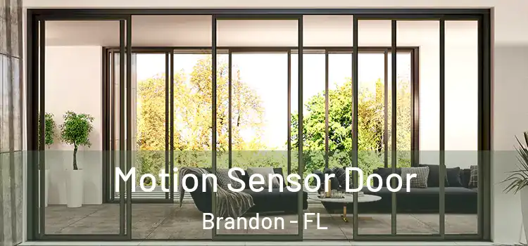  Motion Sensor Door Brandon - FL